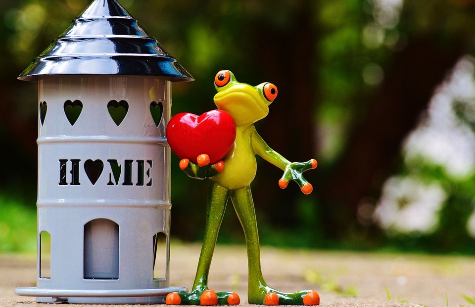 Frog cute decoration