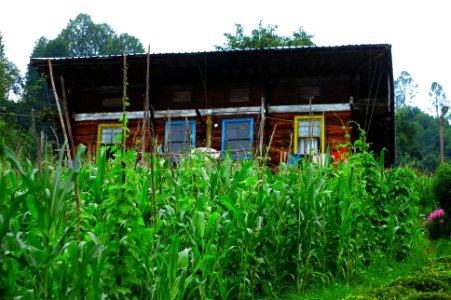 Başköy-Senoz-Çayeli-Rize