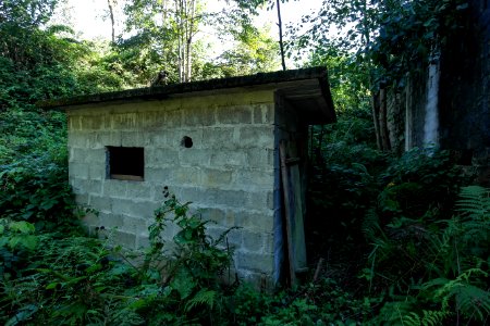 Başköy Senoz Çayeli Rize