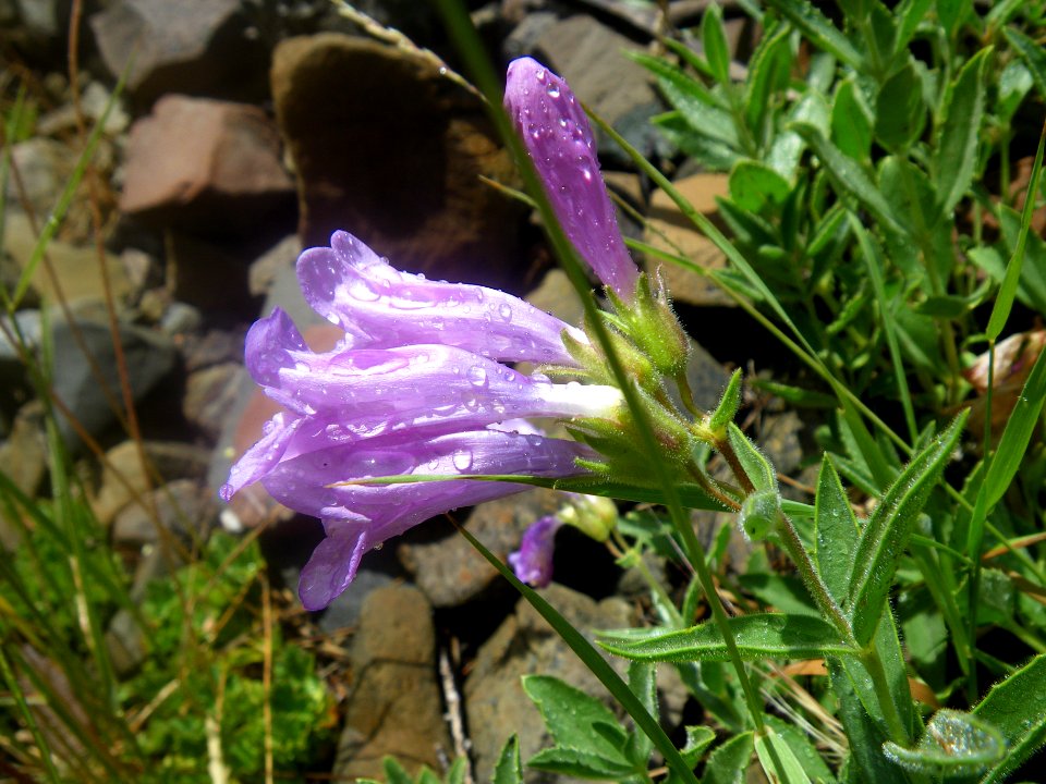 IMGP0103