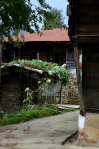 Başköy ,Senoz Çayeli Rize