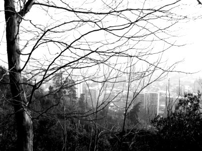 Santiago de Chile