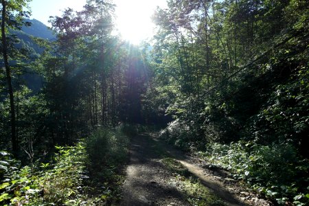 Başköy Senoz Çayeli Rize photo