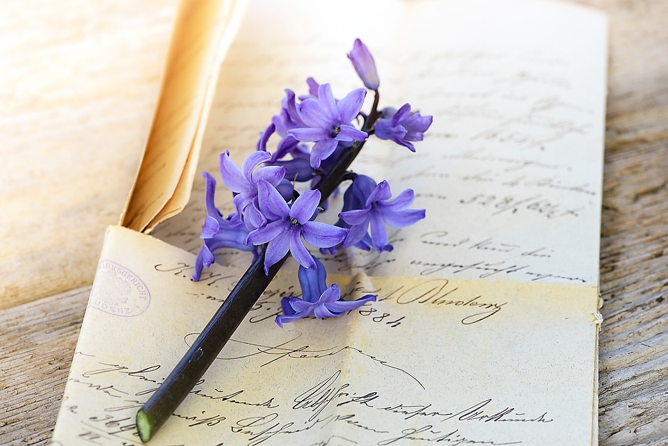 Font flower fragrant flower