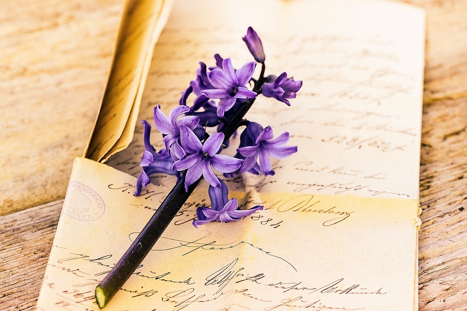 Font flower fragrant flower