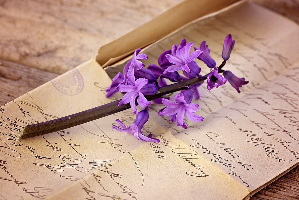 Font flower fragrant flower