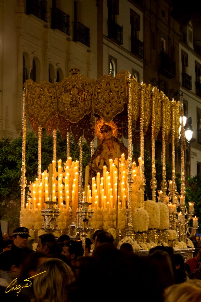 Ntra. Sra. de Gracia y Esperanza Coronada. Hermandad de San Roque. Domingo de Ramos 2016. Sevilla