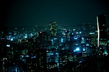 Skyscrapers' Night