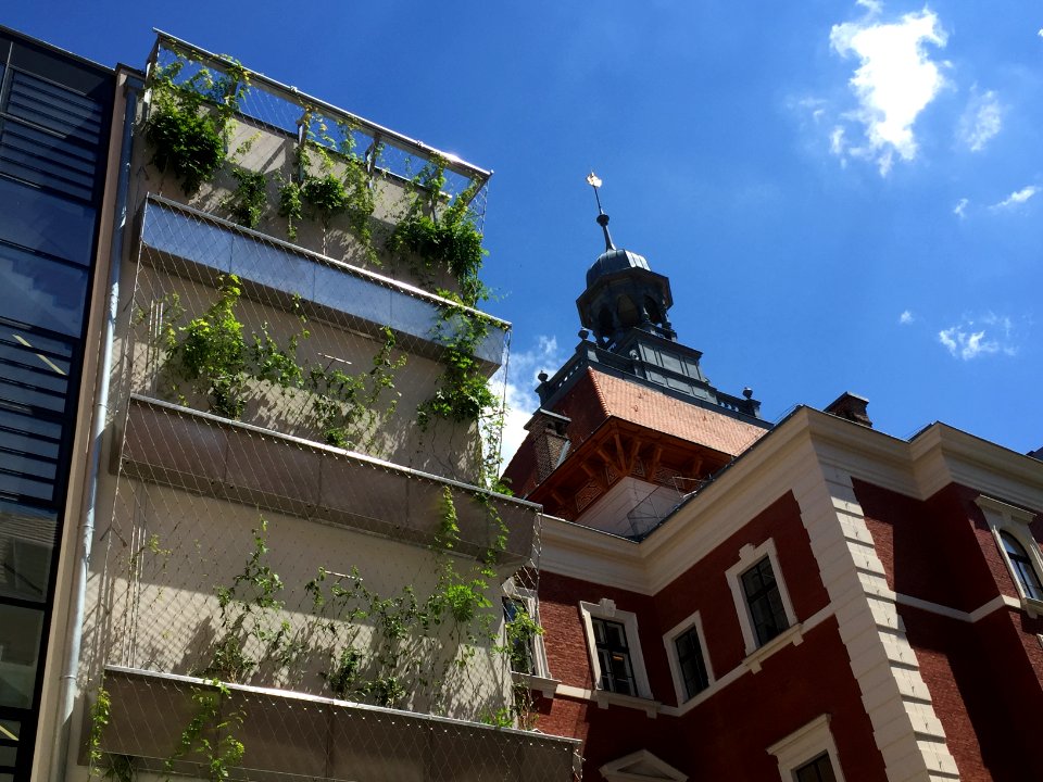2016 Jun GMendelH 04