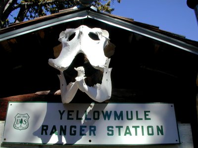 30 nonplot yellowmule ranger station 06062004090101 photo