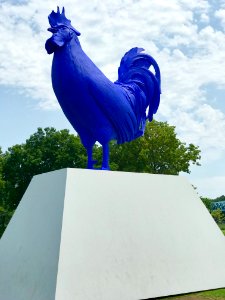 A Giant Blue Cock