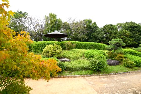 Chớm Thu