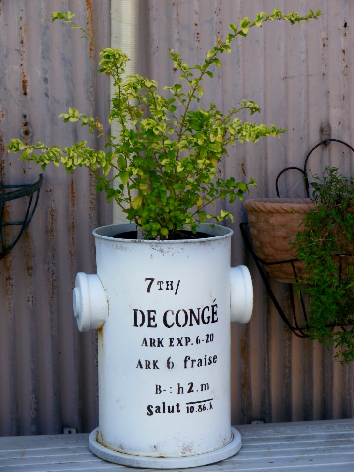 planter