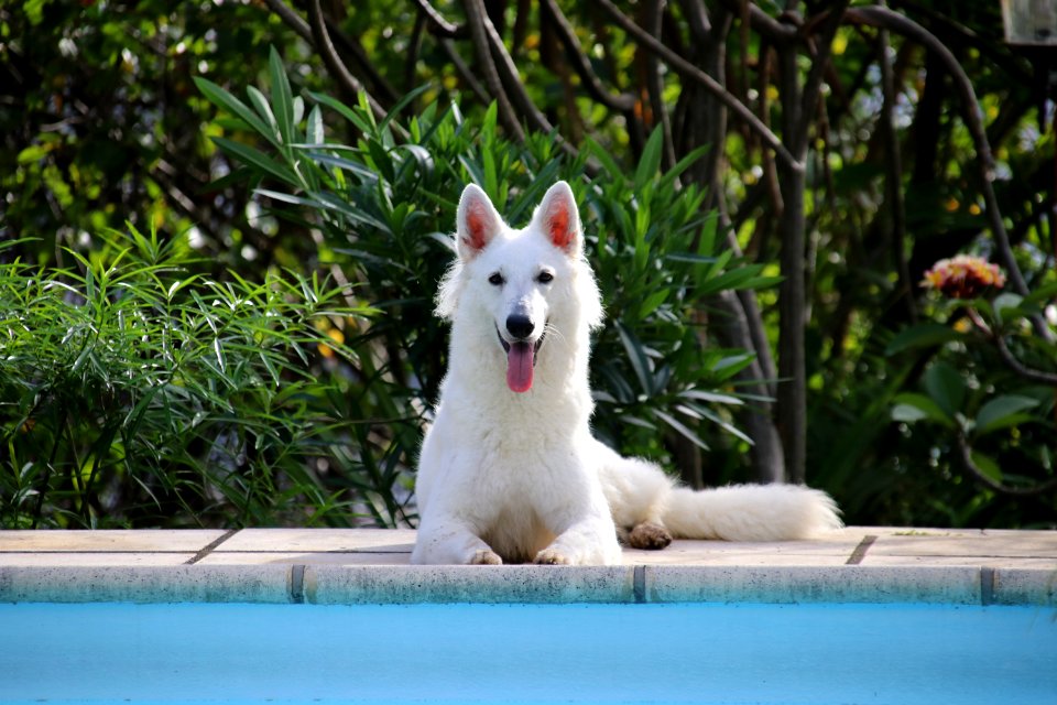 Sitting being happy