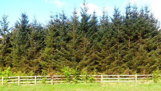 Images of Summerhill, Co. Meath