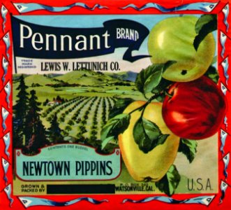 1910s c Pennant Brand Newtown Pippins Apples