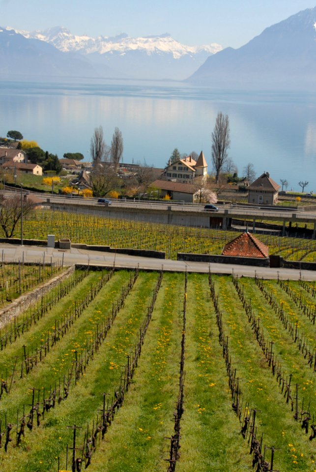Lavaux, Switzerland