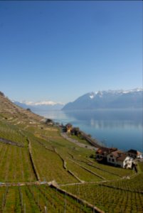 Lavaux, Switzerland