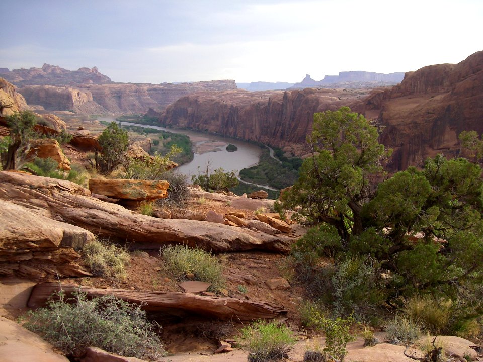 Maggie ColoradoRiver May 2012 077