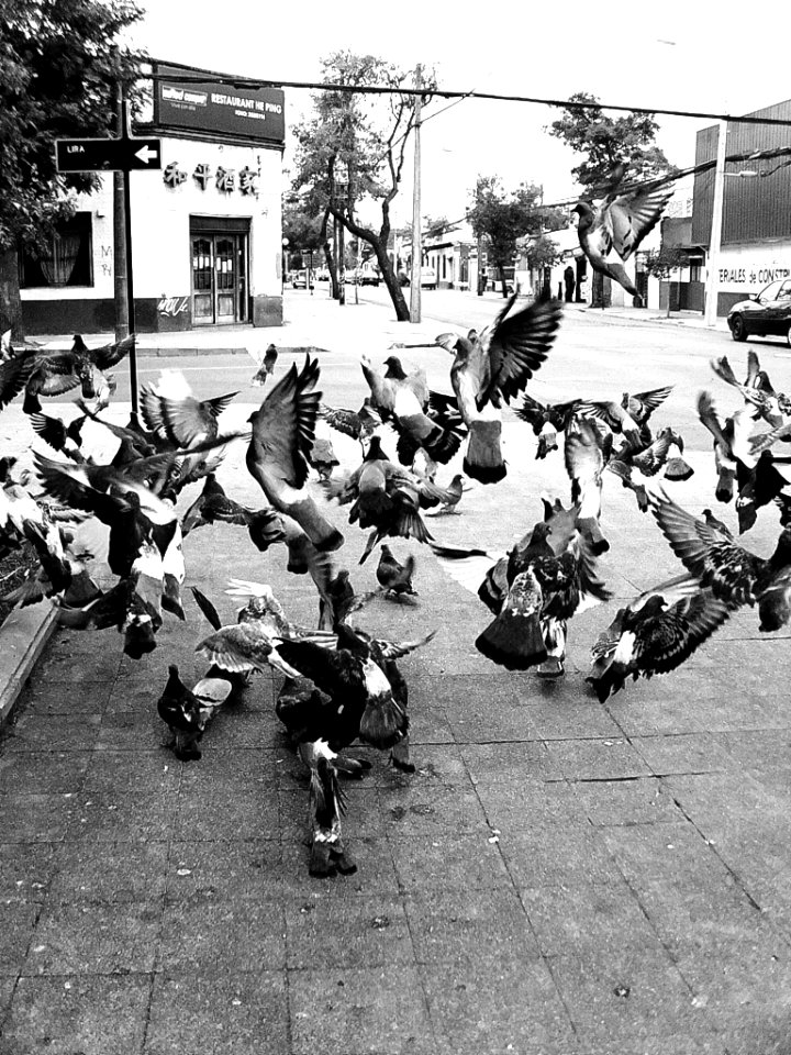 Santiago de Chile
