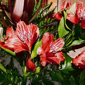 Flowers bouquet plants