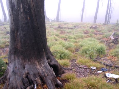 30 nonplot fog1 06062006090101
