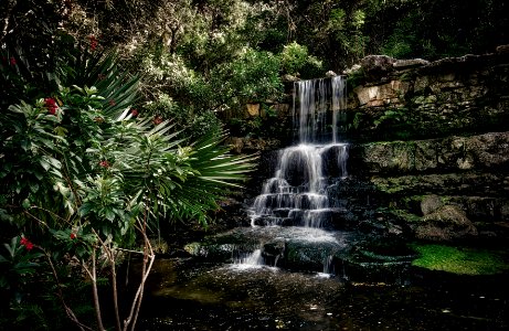 Zilker Botanical Garden Waterfall, Austin