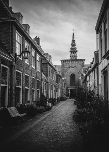 DSC01991 Flickr
