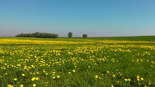 Heimat (Ostfriesland) Germany