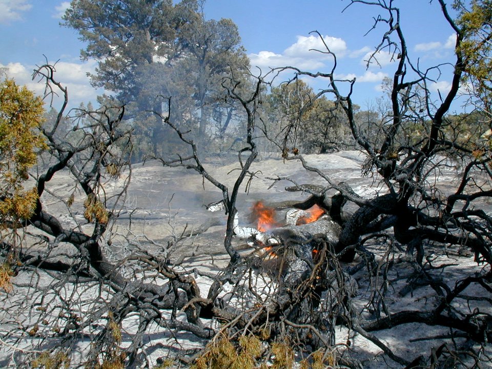 08 nonplot fire scene2 06062002090101
