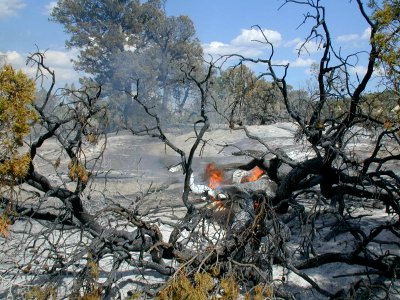 08 nonplot fire scene2 06062002090101