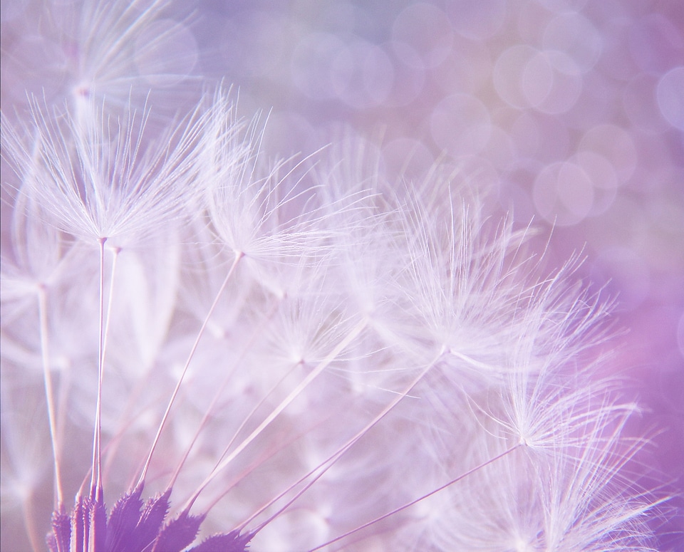 Background bokeh lights