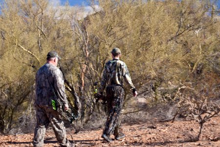 Ironwood Forest National Monument photo