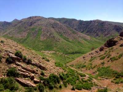 49 nonplot fishlake nf fool creek rd 06272016142607