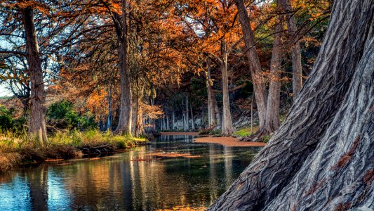 Guadalupe River in Fall, TX Hill Country photo