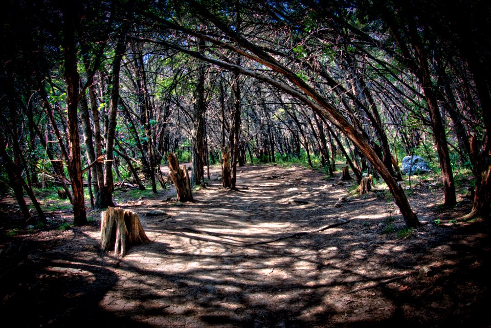 Emma Long Park Nature Trail, Austin TX