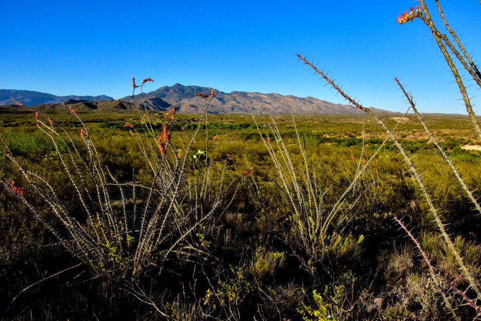 Arizona National Scenic Trail
