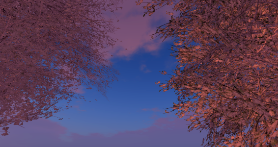 under some SL trees