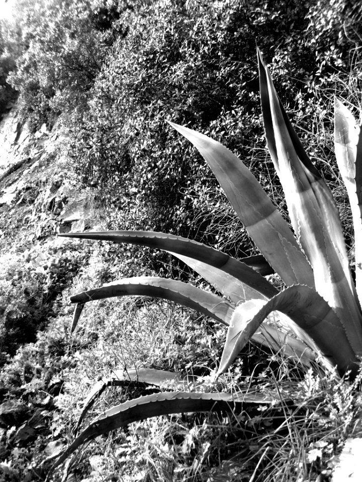 Santiago de Chile
