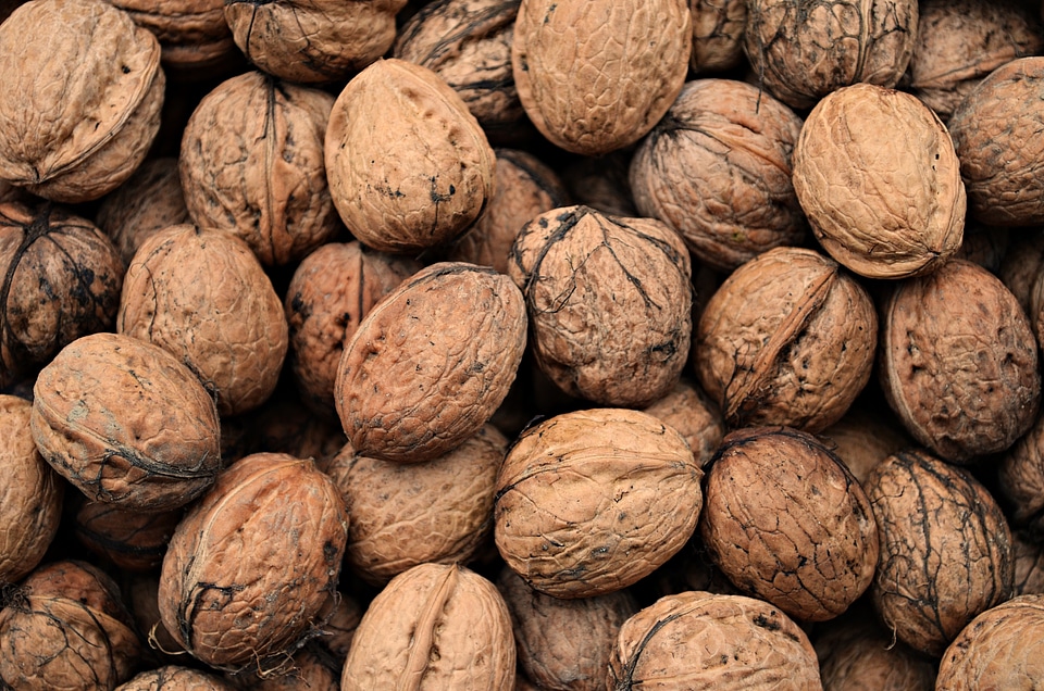 Food mature fruiting