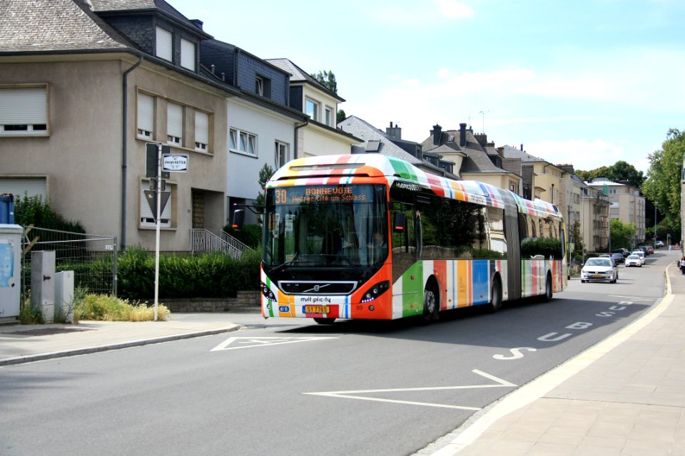 SY 7765