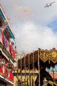 Ntra. Sra. de los Dolores Coronada. Hermandad del Cerro. Martes Santo 2016. Sevilla