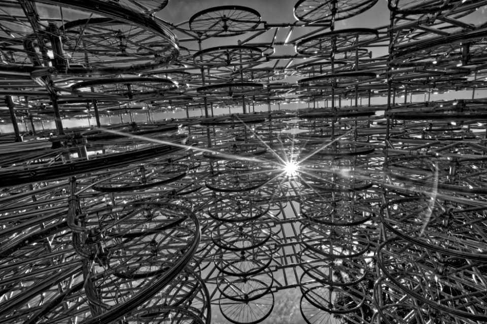 Forever Bicycles, Austin TX