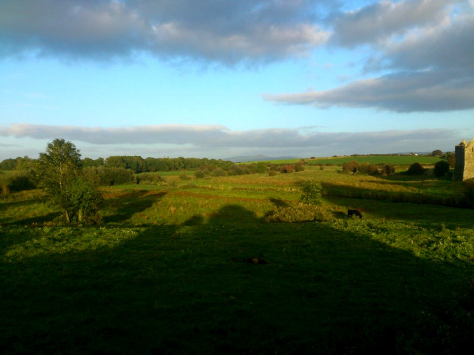 Quin Abbey, Quin, Co. Clare