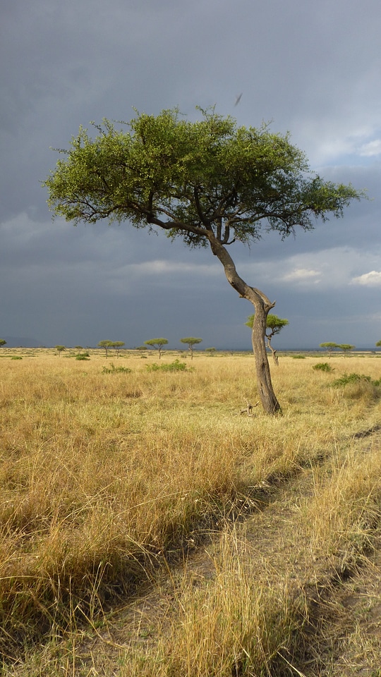 Landscape clouds kenya