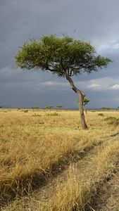Landscape clouds kenya