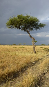 Landscape clouds kenya photo