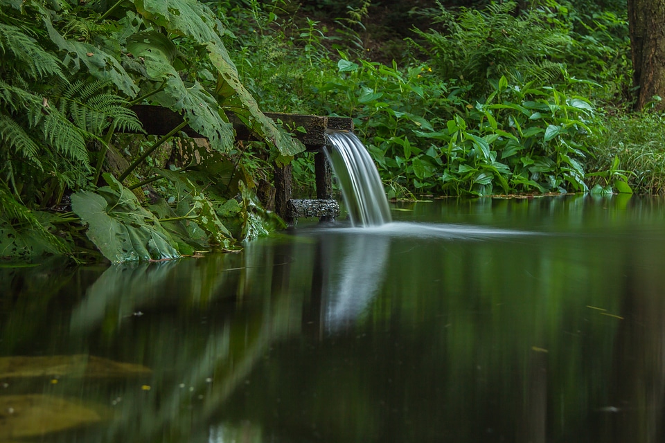 Waterfall nature forest photo