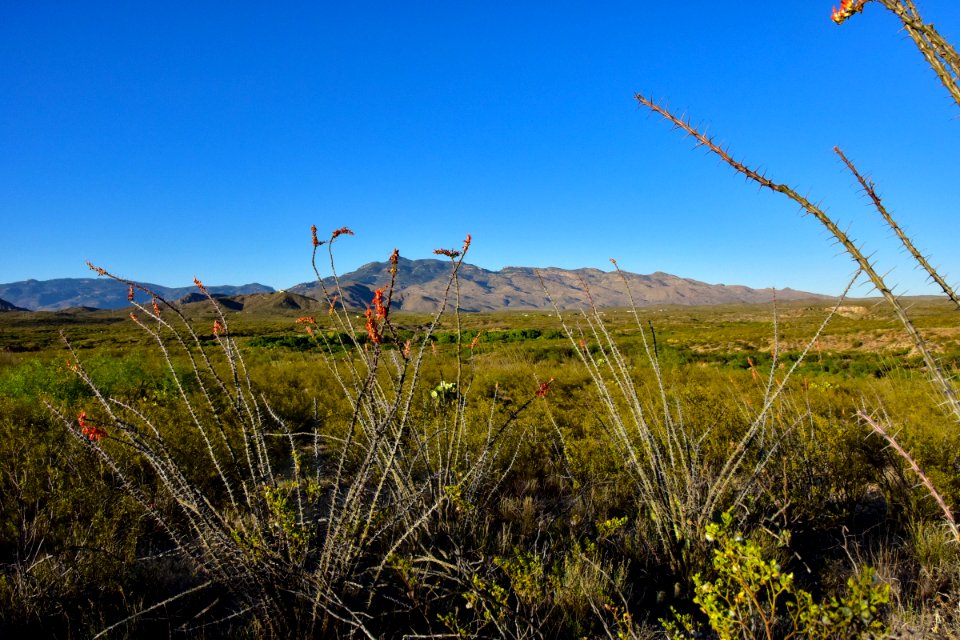 Arizona National Scenic Trail