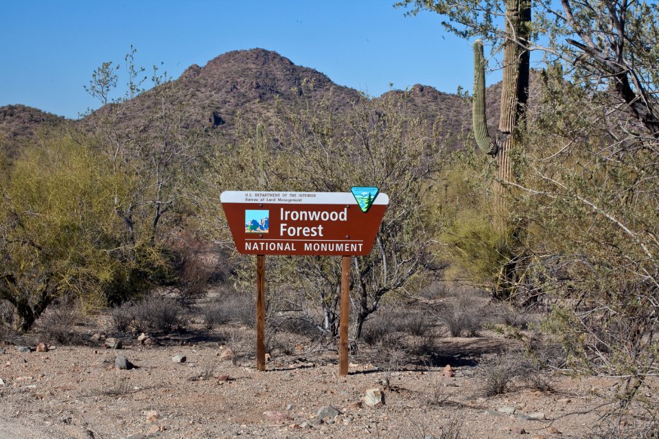 Ironwood Forest National Monument